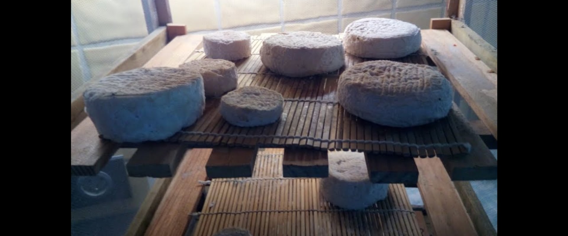 L'art de fabriquer du fromage de montagne